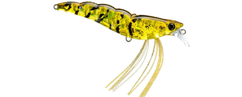 Isca Shrimp SS