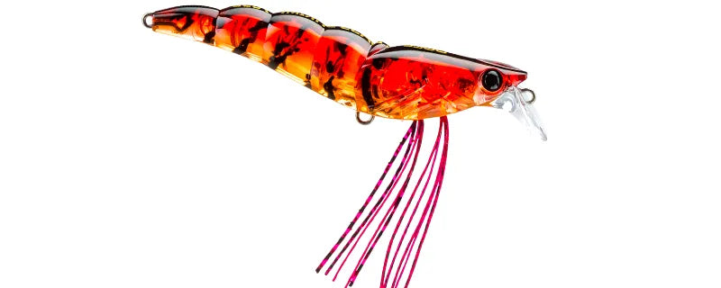 Isca Shrimp SS